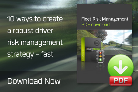 Download your FREE guide to driver risk assessments