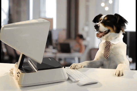 Ford takes the office dog phenomenon to a whole new level